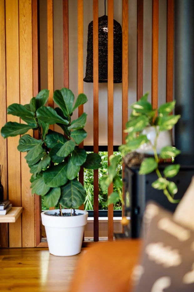 A warmly lit interior corner featuring a large potted fiddle-leaf fig in front of a vertical timber slat screen. Behind the screen is a window with greenery outside, and a black woven pendant light hangs centrally. Timber wall panelling and timber flooring create a natural, richly textured setting.