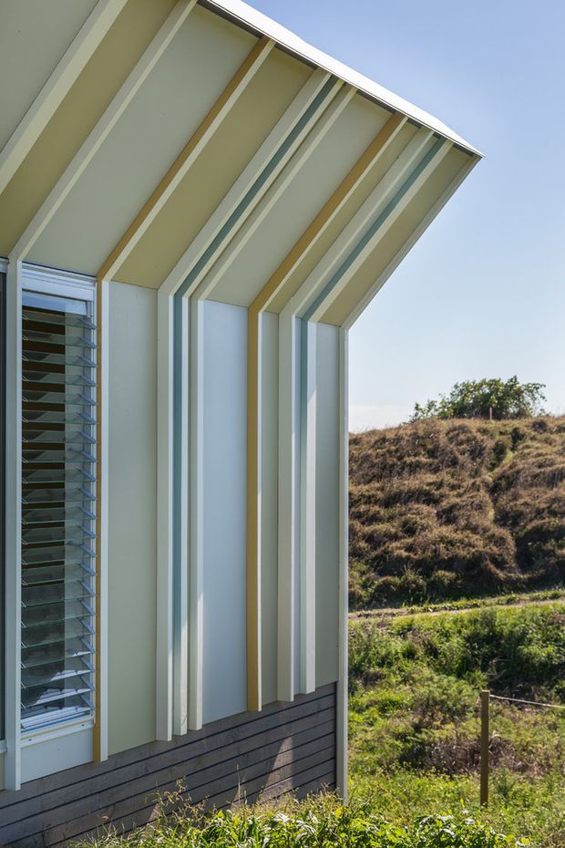 Close-up exterior view of a contemporary building facade on a sloping natural site. The pale vertical wall cladding and projecting fins continue into a strongly angled roof or canopy, with a louvred window at left and dark horizontal lower cladding. Low scrub and grass are visible beyond the building.