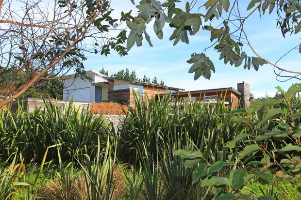 A low, contemporary single-storey house partially screened by dense native-style landscaping. The building features horizontal timber-clad sections, light rendered or metal-clad walls, broad glazing, and a shallow pitched or skillion roofline. Tall grasses and leafy vegetation dominate the foreground, creating a strong connection between the house and garden.