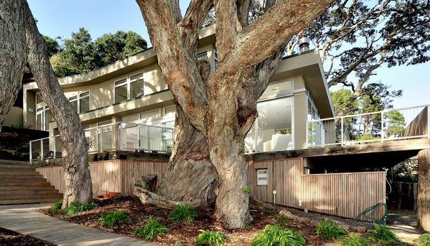 Exterior view of a contemporary multi-level home integrated among mature trees. The building features extensive floor-to-ceiling glazing, pale rendered walls, timber-clad lower-level elements, broad roof overhangs, and a raised timber deck or balcony with simple metal balustrading. Landscaped planting and steps lead up to the entrance.