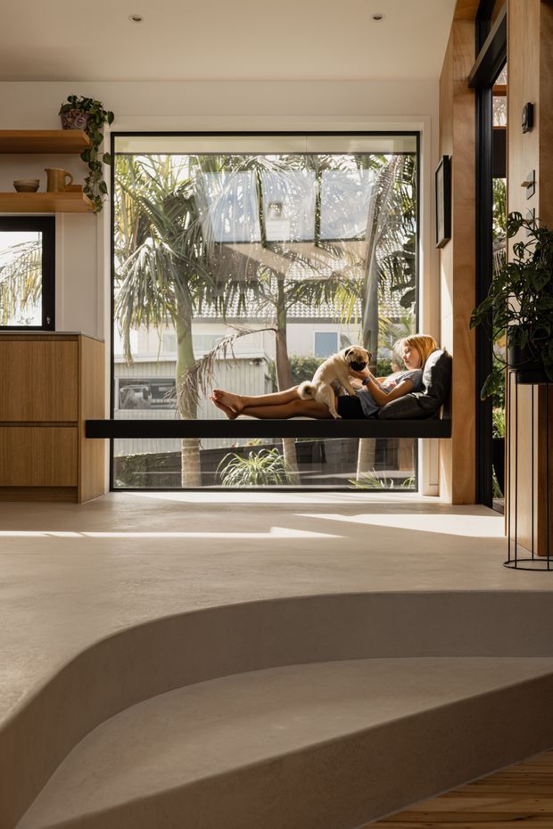 A warm, sunlit contemporary interior with a large floor-to-ceiling window overlooking tropical planting and neighbouring buildings. A built-in window seat holds a person and dog, while timber cabinetry and open shelving frame the left side. Curved raised concrete seating or step forms dominate the foreground, with timber flooring at the edge, indoor plants, and black-framed glazing creating a relaxed indoor-outdoor connection.