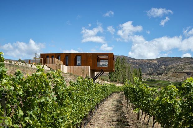 A compact modern timber-clad dwelling or pavilion elevated above a cultivated vineyard, with a long horizontal form, dark brown wood exterior, large windows, and a projecting cantilevered section. Dry mountainous terrain forms the backdrop under a bright blue sky.