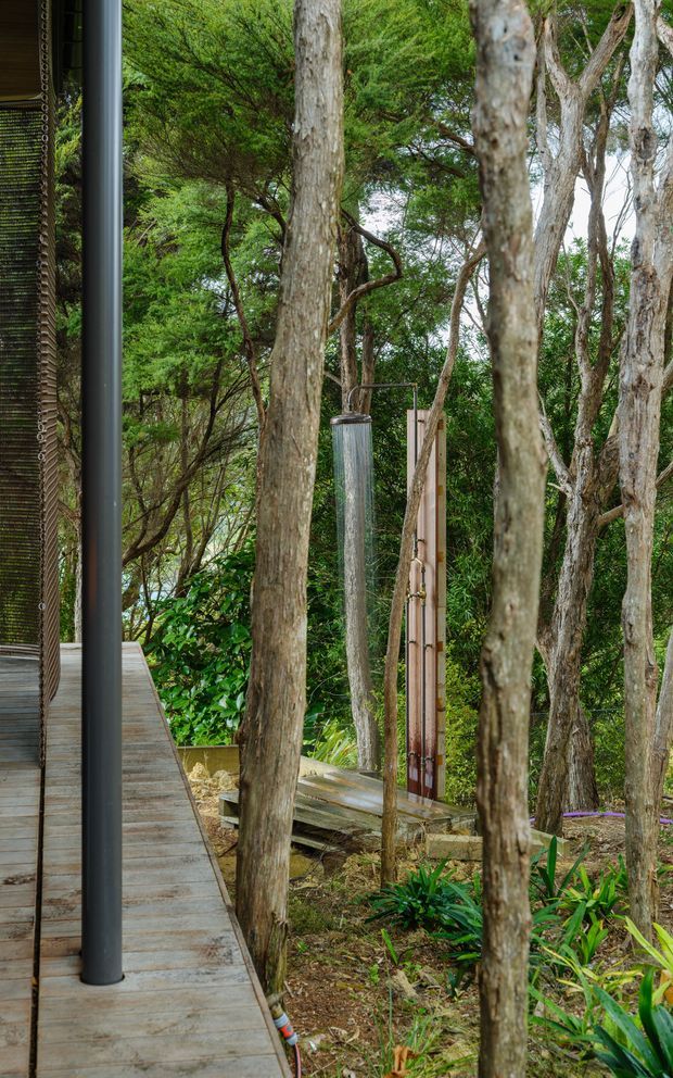 A narrow timber deck or walkway runs beside a dark-framed building edge, extending through a dense wooded landscape. Slender pale tree trunks dominate the view, with lush green understory planting and a simple outdoor hanging or shower-like feature among the trees. The scene feels integrated with a natural bush setting and uses restrained, raw-looking materials.
