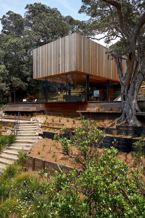A contemporary elevated house set within a densely wooded, landscaped site. The facade combines vertical timber cladding with extensive floor-to-ceiling glazing, a projecting timber-lined upper volume, dark slender structural posts, and a timber-clad lower terrace edge. Stone steps and terraced garden beds lead up toward the house beneath mature trees.