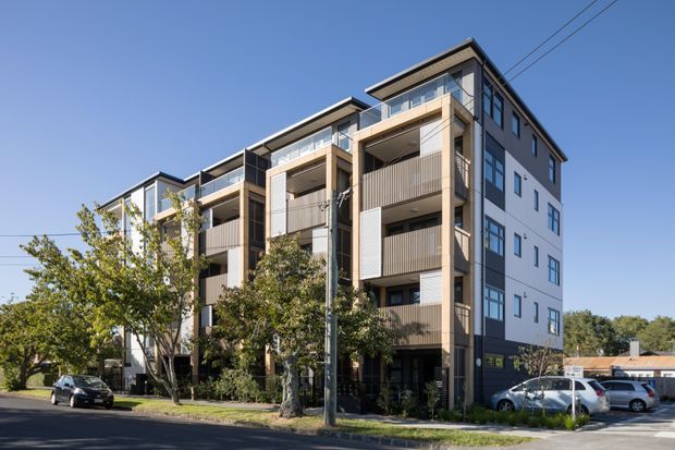 A contemporary multi-storey apartment building viewed from the street, with a mix of light rendered walls, dark trim, recessed balconies, timber-toned vertical screening, and extensive glazing. Mature street trees, parked vehicles, overhead utility wires, and a clear sky surround the building.