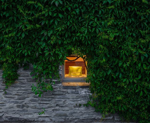 A close-up exterior detail of a rustic grey stacked-stone wall heavily covered with dense dark green climbing foliage. A small recessed opening or niche at the centre contains a warm golden illuminated feature, framed with timber and partly concealed by the vegetation.