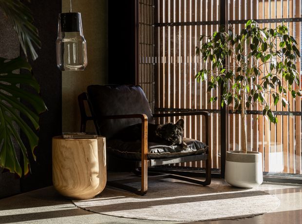 A moody, refined interior corner featuring a dark timber or painted wall, a leather lounge chair with timber arms, a sculptural timber side table, pendant light, potted plants, and strong sunlight filtered through vertical timber screening. The space has warm natural materials and dramatic striped light and shadow.