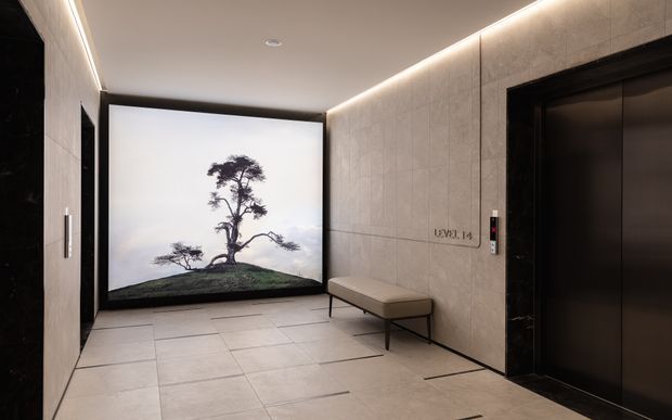 A refined, modern elevator lobby with large-format light stone or porcelain wall and floor finishes, dark elevator doors and trim, integrated linear ceiling lighting, and a minimalist upholstered bench. A large backlit artwork depicting a solitary tree provides a focal point.
