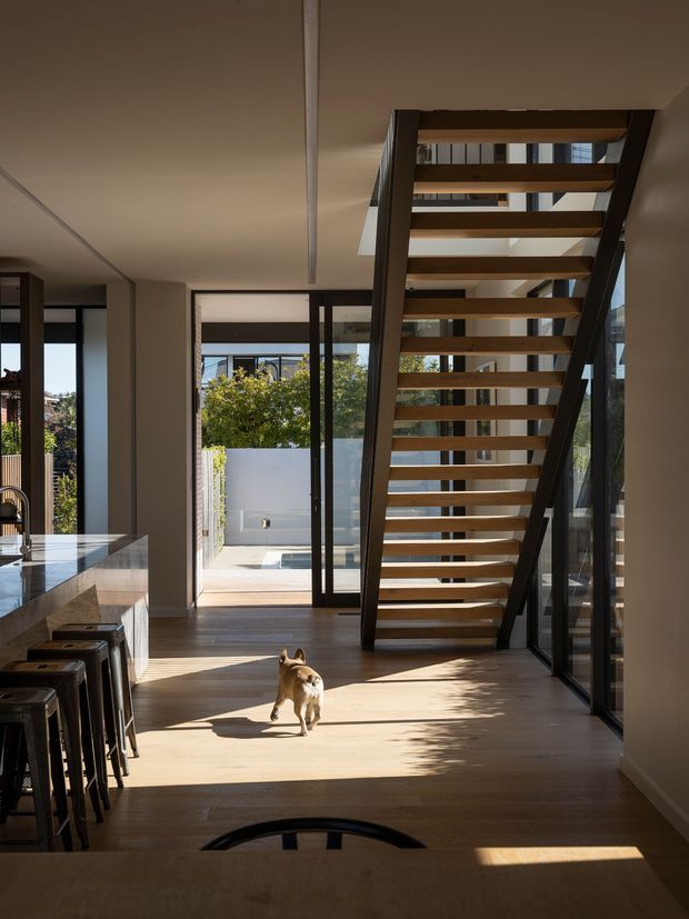 A bright contemporary open-plan interior viewed from the dining or kitchen area, featuring a sculptural open-riser timber staircase with dark structural side frames, extensive floor-to-ceiling glazing, and warm timber flooring. A glazed door opens to a small outdoor courtyard or pool area. Built-in cabinetry and bar seating are visible on the left, with strong sunlight creating defined shadows across the floor.