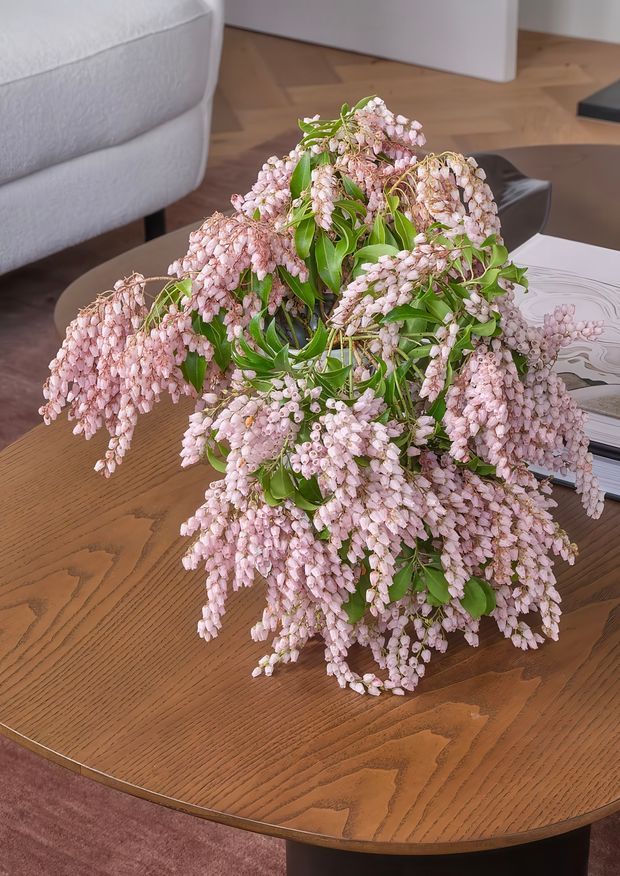 A close-up interior photograph of a large arrangement of pale pink flowering branches placed on a round, richly grained timber coffee table. A light upholstered sofa, timber parquet flooring, a dark sculptural object, and stacked books are visible in the surrounding living area.