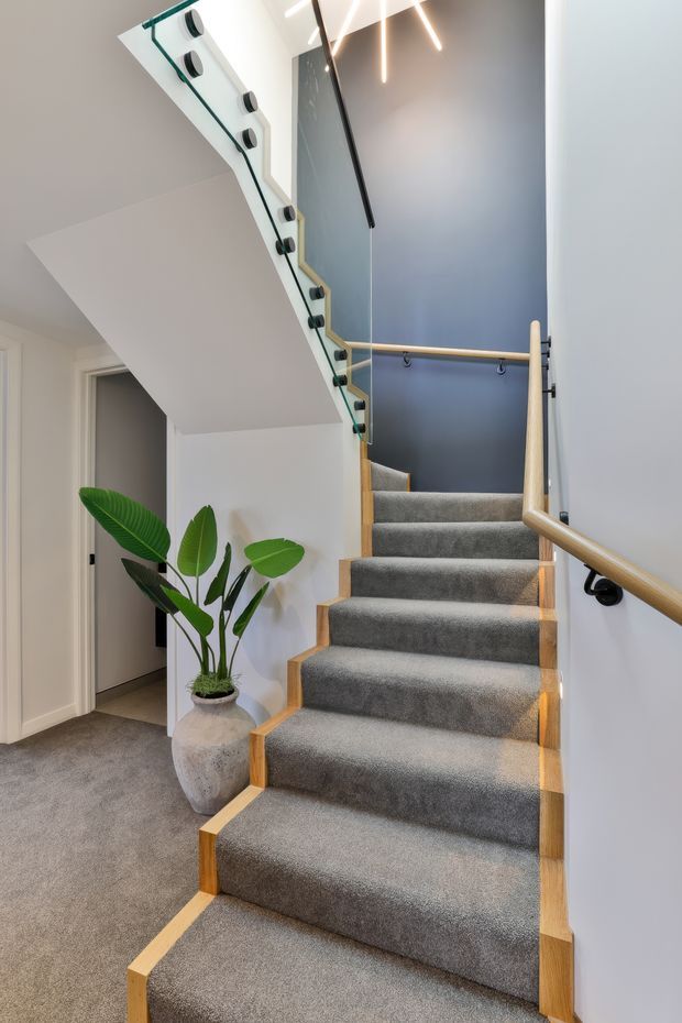 A bright residential stairway with grey carpeted treads, light timber stair edges and handrails, and a glass balustrade with dark metal fittings. The stairwell has a dark blue feature wall, white surrounding walls, recessed ceiling lighting, and a potted indoor plant beside an adjacent hallway opening.