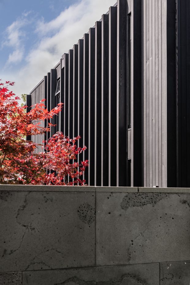 Exterior architectural detail of a contemporary building with a dramatic vertically articulated dark facade, alternating deep fins and lighter vertical cladding panels. A raw concrete boundary wall occupies the foreground, with red-leafed ornamental planting beside the facade and blue sky above.