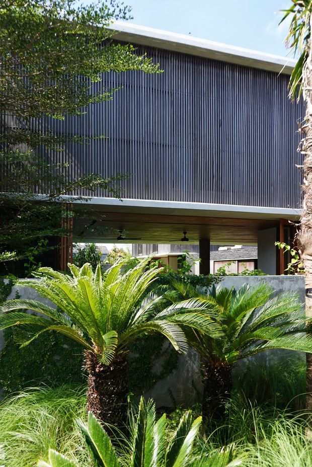 Exterior view of a contemporary elevated building surrounded by dense subtropical landscaping. The upper facade is clad in closely spaced dark vertical battens or screens, with a broad flat roof and projecting upper storey over a shaded open ground level. A timber-lined soffit, structural columns, rendered boundary wall, and cycads and other lush planting are visible.