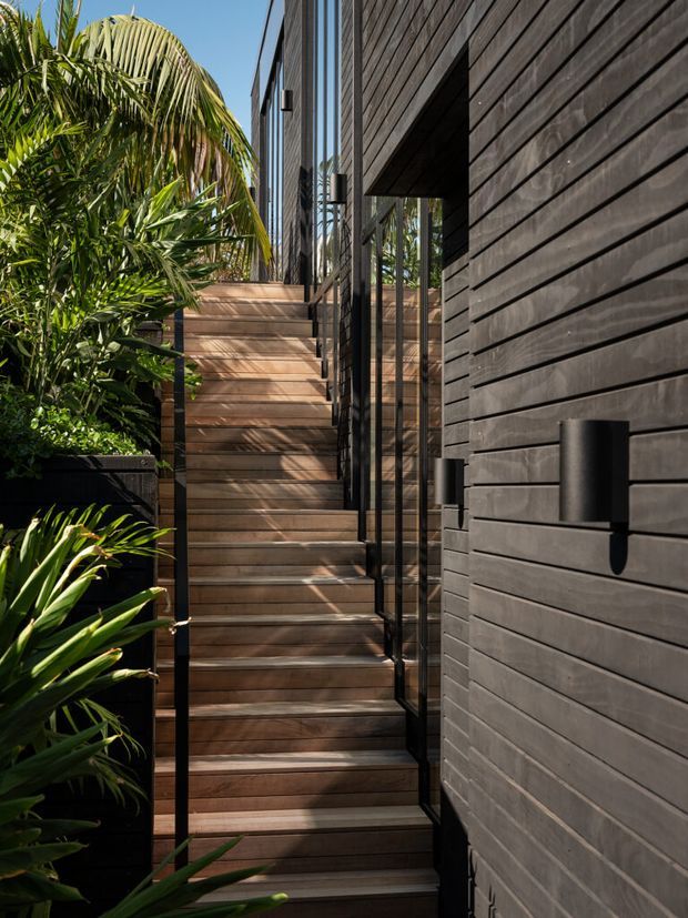 A narrow exterior stairway rises alongside a dark timber-clad building. The stairs and landing are finished in warm timber, with slim black metal balustrades and dark wall-mounted cylindrical lights. Lush tropical planting borders the path, creating a sheltered, contemporary outdoor circulation space.