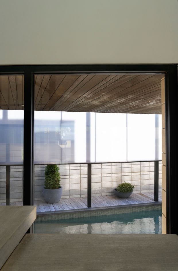 View from an interior space through large black-framed glazing toward a narrow covered courtyard with a tiled swimming pool. The courtyard has timber decking, a slatted timber ceiling, translucent screening, and a low rendered masonry wall with potted plants. Neutral, contemporary architectural composition with strong indoor-outdoor connection.