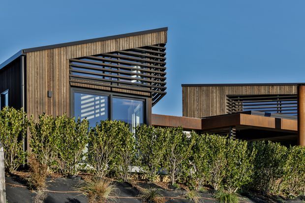 Contemporary multi-level residential exterior with dark cladding, warm vertical timber battens, expansive glazing, and prominent horizontal timber louvres forming shaded screens. Dense hedging and ornamental grasses occupy the foreground beneath a clear blue sky.