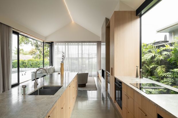 Contemporary open-plan kitchen with a large central island, integrated sink and tapware, light timber cabinetry, concrete-look benchtops, and full-height glazing. The kitchen opens toward a dining or living area and a leafy outdoor setting, with a vaulted ceiling, sheer curtains, and linear concealed lighting.