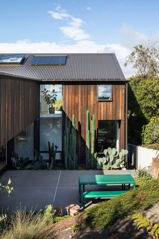 Exterior view of a compact contemporary house set within a landscaped garden. The facade combines dark vertical timber cladding with large glazed openings, a corrugated metal pitched roof, and roof-mounted solar panels. A paved terrace with a green bench sits among sculptural cactus and drought-tolerant planting.