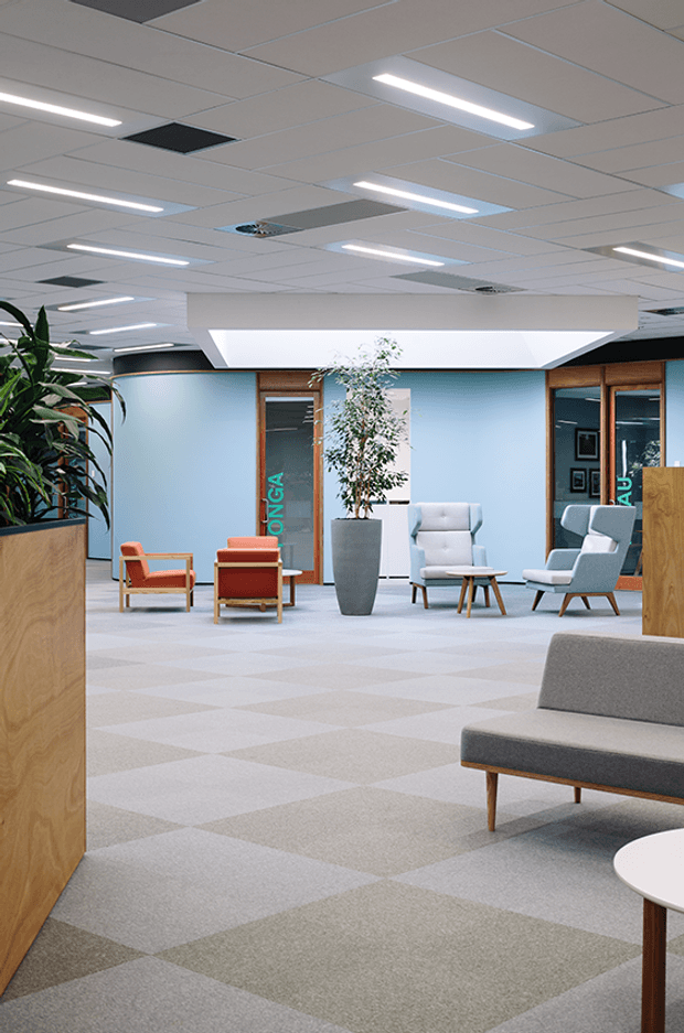 A bright contemporary commercial interior, likely an office or institutional waiting and reception area. The open-plan space has pale blue walls, timber-framed glazed doors, a suspended acoustic ceiling with linear fluorescent lighting, patterned modular carpet tiles, and clusters of mid-century-inspired lounge chairs and sofas. Large built-in timber planters and a tall potted plant add warmth and greenery. A broad white angular ceiling bulkhead or canopy defines the central seating zone.