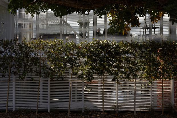 Exterior view of a building screened by dense climbing vegetation and a row of slender trees. The facade features extensive horizontal white louvres or slatted screening, with glimpses of glazing and a red-brick wall visible behind. The image is shaded and subdued, emphasizing privacy, layered planting, and filtered light.