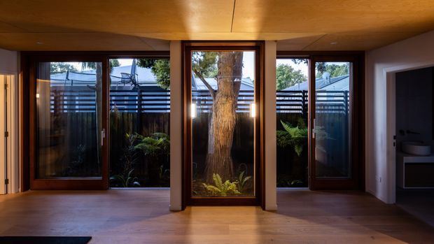 Warm, compact interior with a timber-lined ceiling and floor-to-ceiling timber-framed glazing arranged around a central planted courtyard or garden feature. A mature tree and ferns are visible outside, while a dark bathroom or utility area opens at the right. The space has a calm, nature-connected contemporary character with warm wood tones and subdued lighting.