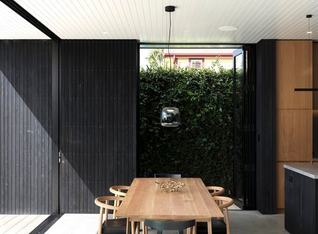 A contemporary dining area within a compact, highly glazed interior. A solid timber dining table with curved wooden chairs sits beside dark vertical-panel walls and large black-framed openings overlooking a leafy hedge. The ceiling is clad in white linear panels with simple pendant and recessed lighting, while a dark timber kitchen or joinery zone is visible at right.