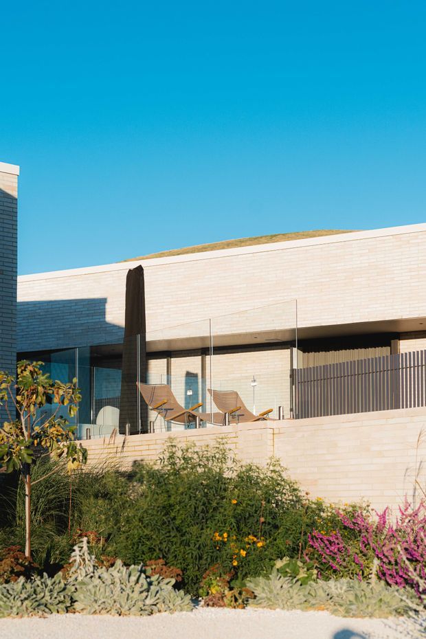 Exterior view of a contemporary low-rise building with pale brick masonry walls, a flat roof planted with a green roof, dark vertical screening, and a sunny terrace furnished with outdoor lounge chairs. A landscaped garden with drought-tolerant planting occupies the foreground beneath a clear blue sky.