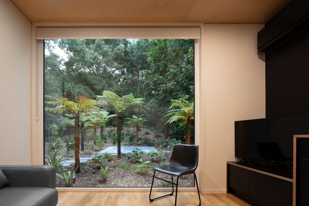 A compact, warmly finished living room with a large picture window overlooking lush native bush and tree ferns. The room has a timber ceiling, pale walls, timber flooring, a dark leather sofa partially visible at left, a black-framed lounge chair, and a dark built-in media cabinet with television on the right. The composition emphasizes the strong connection between the interior and the surrounding natural landscape.