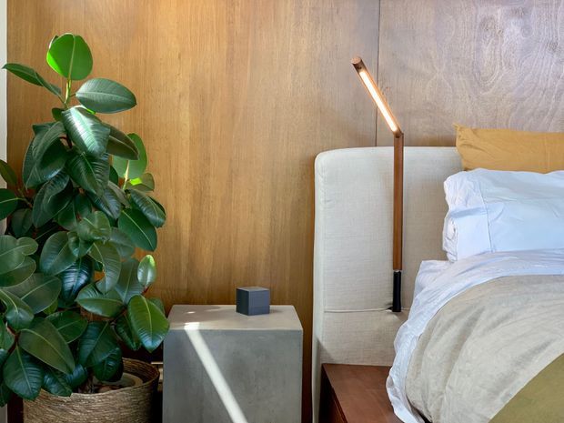 Close-up view of a contemporary bedroom corner featuring a timber-panelled wall, upholstered bedhead, white bedding, a slim wall-mounted reading light, a small concrete bedside table, and a large leafy indoor plant in a woven planter. The composition is warm, natural, and minimalist with strong wood and neutral tones.