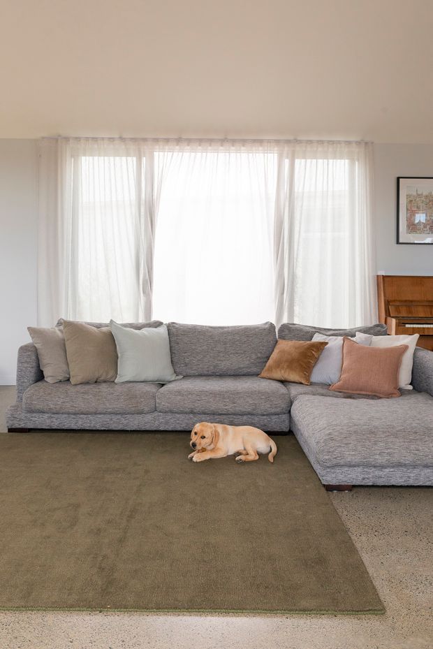 Bright, calm living room with a large grey L-shaped sectional sofa arranged in front of full-height sheer curtains. Neutral cushions in beige, pale blue-grey, tan and muted pink add soft colour, while a large olive-grey area rug sits over a light speckled floor. A timber cabinet and framed artwork are visible at the right, and a small dog is lying on the floor.