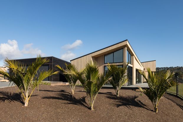 Exterior view of a contemporary single-storey building with a steeply pitched gabled roof, extensive dark-framed glazing, and warm vertical timber cladding. Young palm trees are planted across the dark landscaped foreground, with a paved terrace and black metal balustrade visible around the building. The image is captured in bright daylight against a clear blue sky.