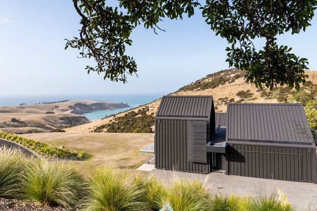 Exterior view of a modern dark-clad building with steep pitched metal roofs, set on a dry coastal hillside overlooking the ocean and rugged shoreline. Native-style grasses and leafy tree branches frame the foreground, while the compact building massing and vertically ribbed facade are prominent.