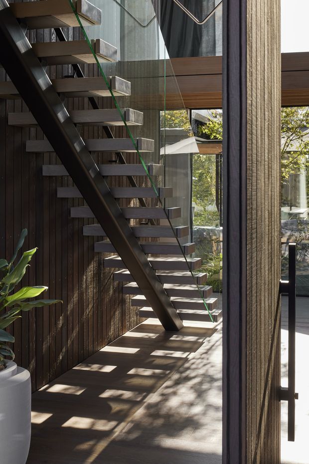 A dramatic interior stairway with open-riser floating timber or dark-finished stairs, a slim dark steel/stringer support, and clear glass balustrades. Dark vertical timber wall cladding contrasts with large glazed openings and warm timber ceiling elements, bringing views of greenery and strong patterned sunlight into the space. A sculptural planter sits at the base of the stairs.