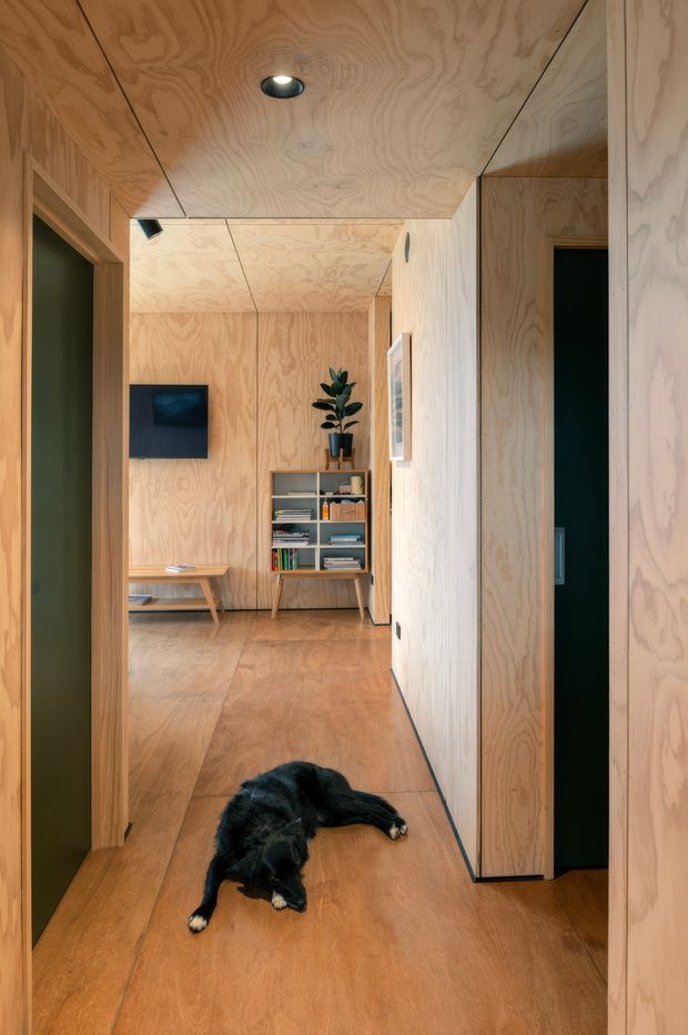 A narrow, warm-toned plywood-lined hallway leading into a compact living room. The space features continuous plywood wall and ceiling panels, timber flooring, recessed and small directional lighting, built-in or integrated doorways, a minimalist wooden shelving unit with books and a plant, a wall-mounted television, and a low timber coffee table. A black dog is lying on the floor in the foreground.