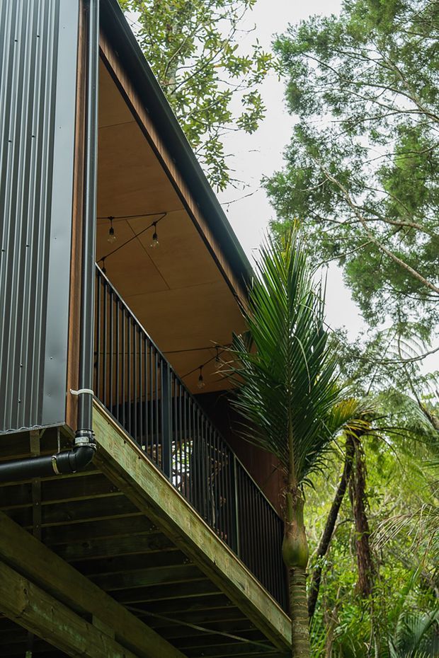 A close-up exterior view of a raised, modern timber-and-metal structure in a dense leafy setting. The building has vertically ribbed dark metal cladding, a warm timber soffit, black metal balcony or deck railings, exposed timber decking structure, and string lights beneath the overhang. Tropical planting and mature trees surround the elevated deck.