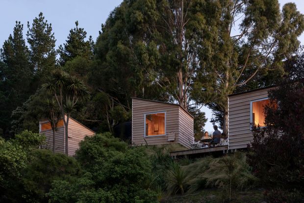 A cluster of small modern cabin-like structures set among dense native vegetation and tall trees. The buildings feature horizontal weatherboard cladding, simple pitched or sloping roof forms, and warmly illuminated square windows. A raised timber deck links the structures, creating a secluded, natural retreat.