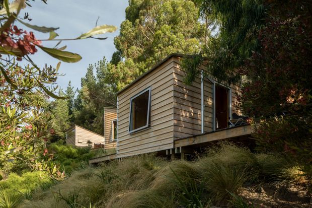 Exterior view of a cluster of small timber-clad cabin-like buildings set among dense, landscaped vegetation on a sloping site. The simple forms have low-pitched roofs, horizontal weatherboard cladding, dark-framed windows, and elevated timber decks or supports. The scene has a natural, secluded woodland character.
