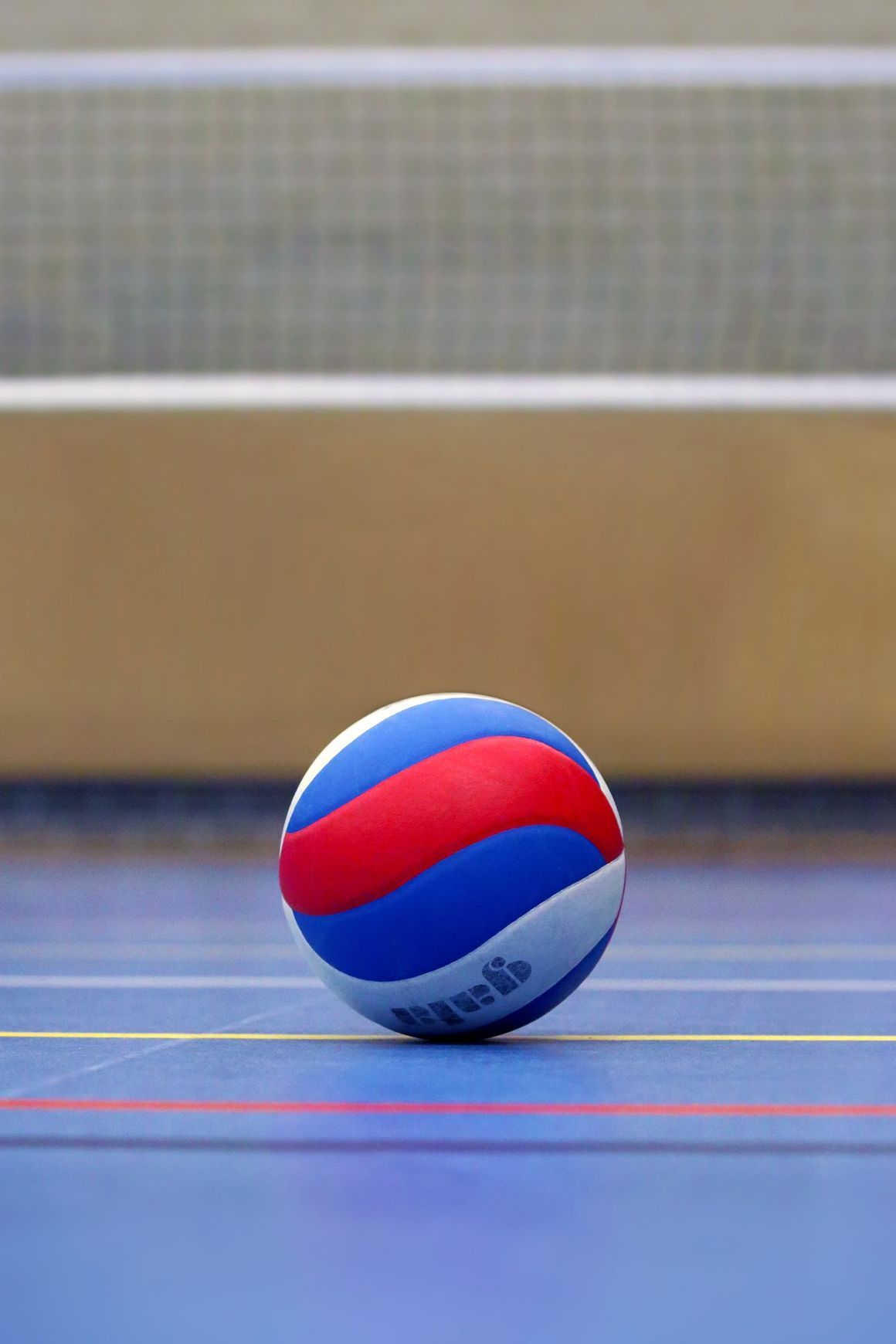 Volleyball Artificial Turf | Sports Grass by SmartGrass