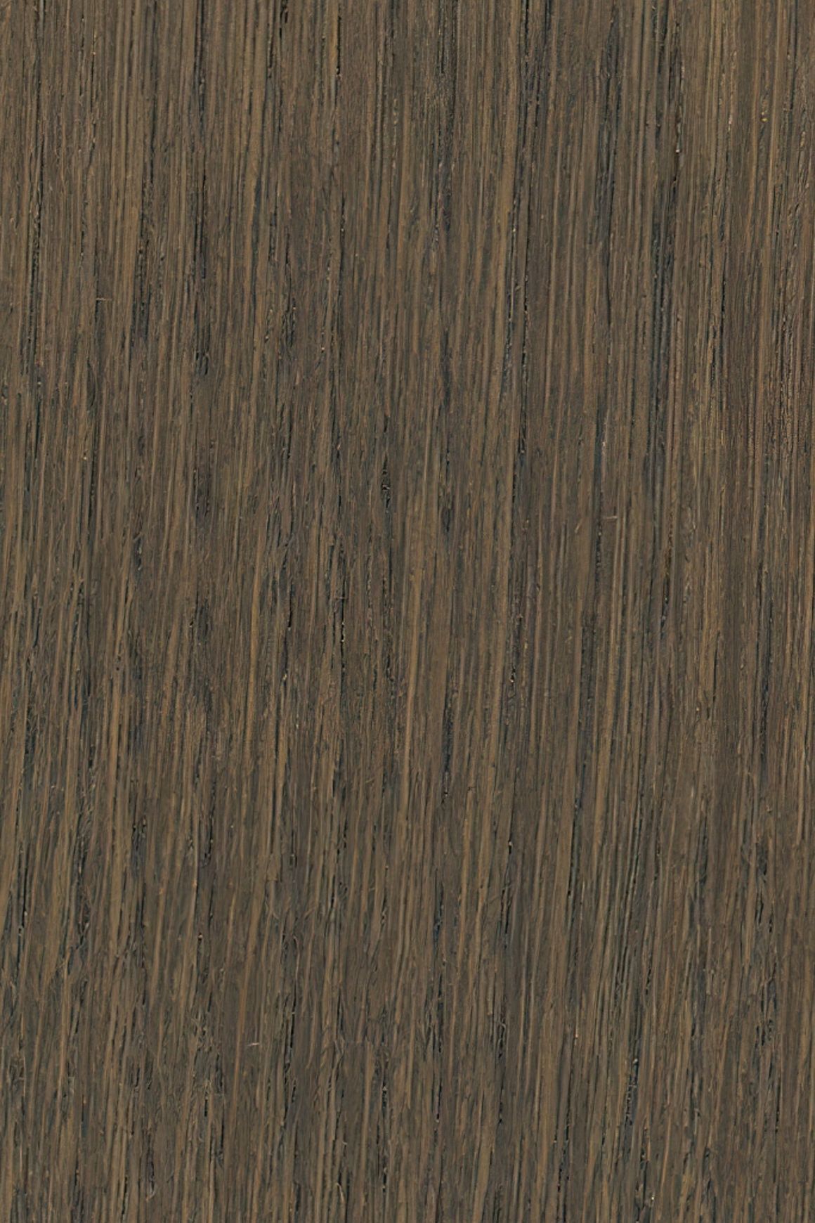 HW31026 Ermont 19mm Timber Veneer