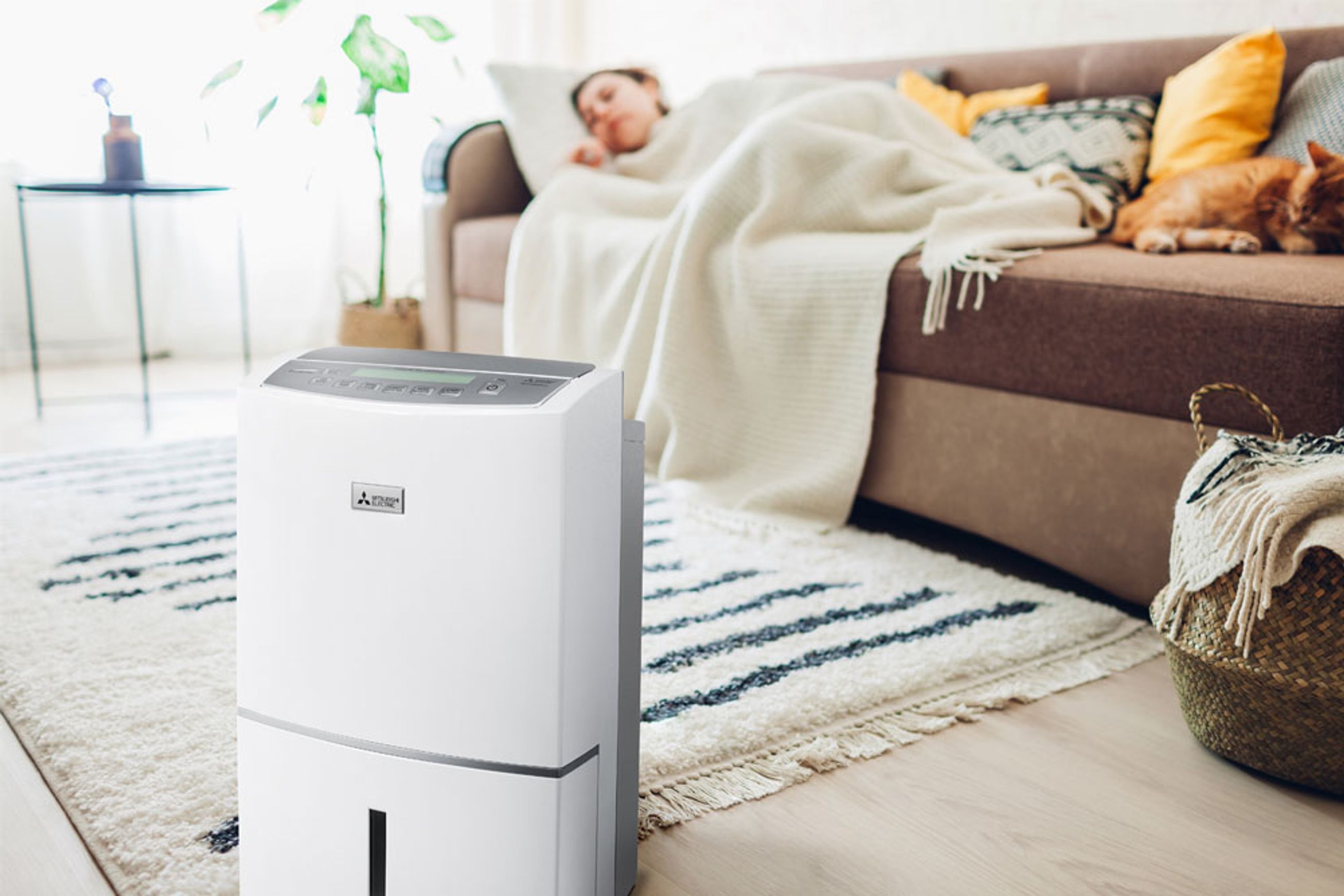 Oasis Pure 38L Dehumidifier