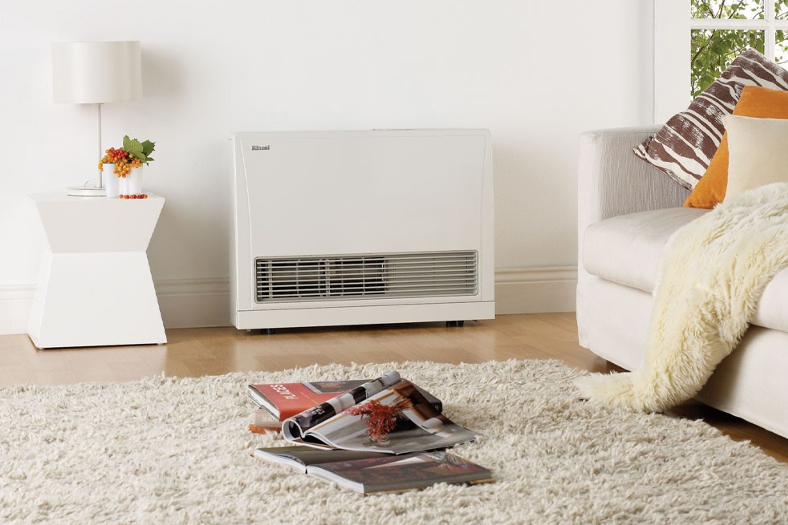 Rinnai Energysaver 559FT Gas Space Heater