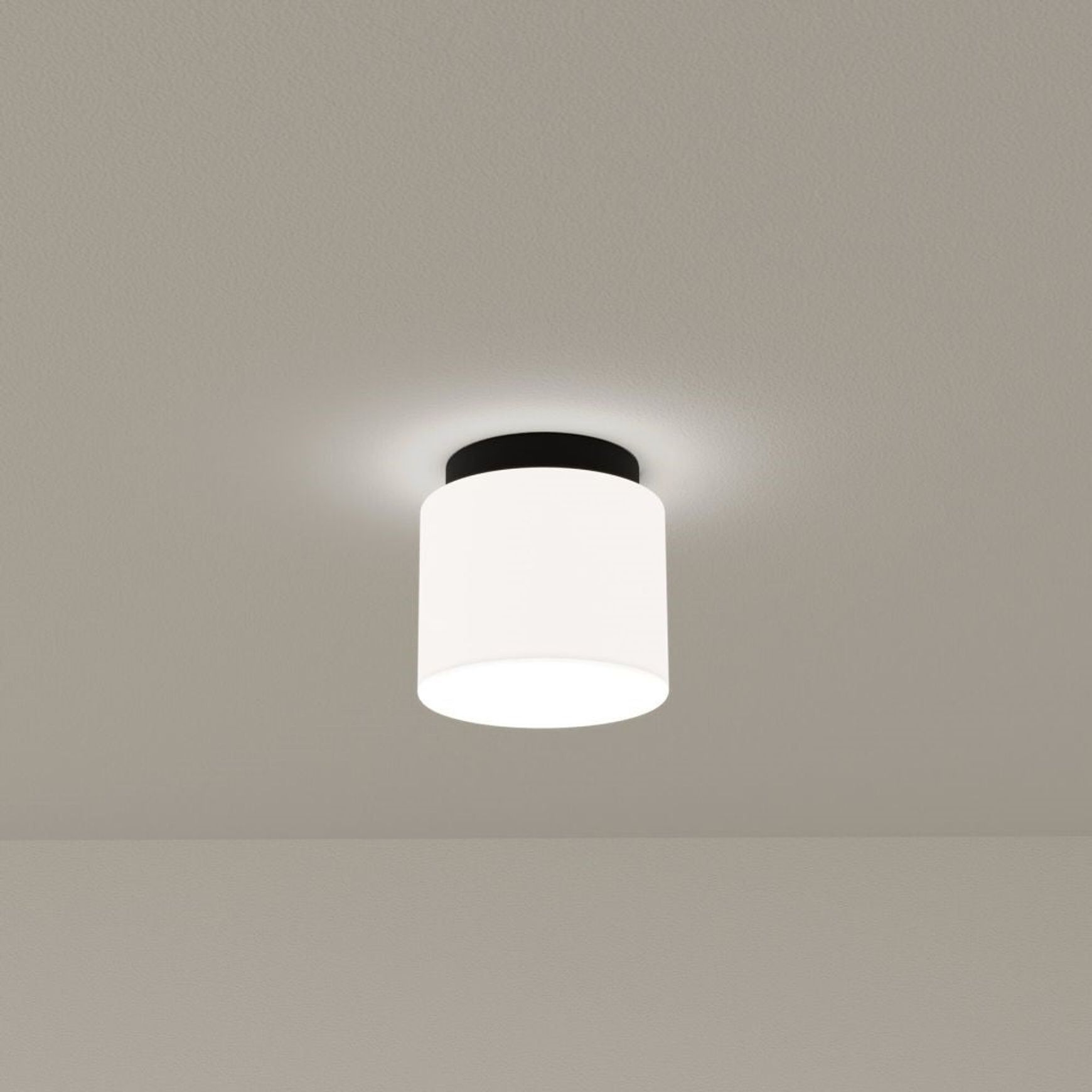 Sparky Ceiling/Wall Light in Matte Black