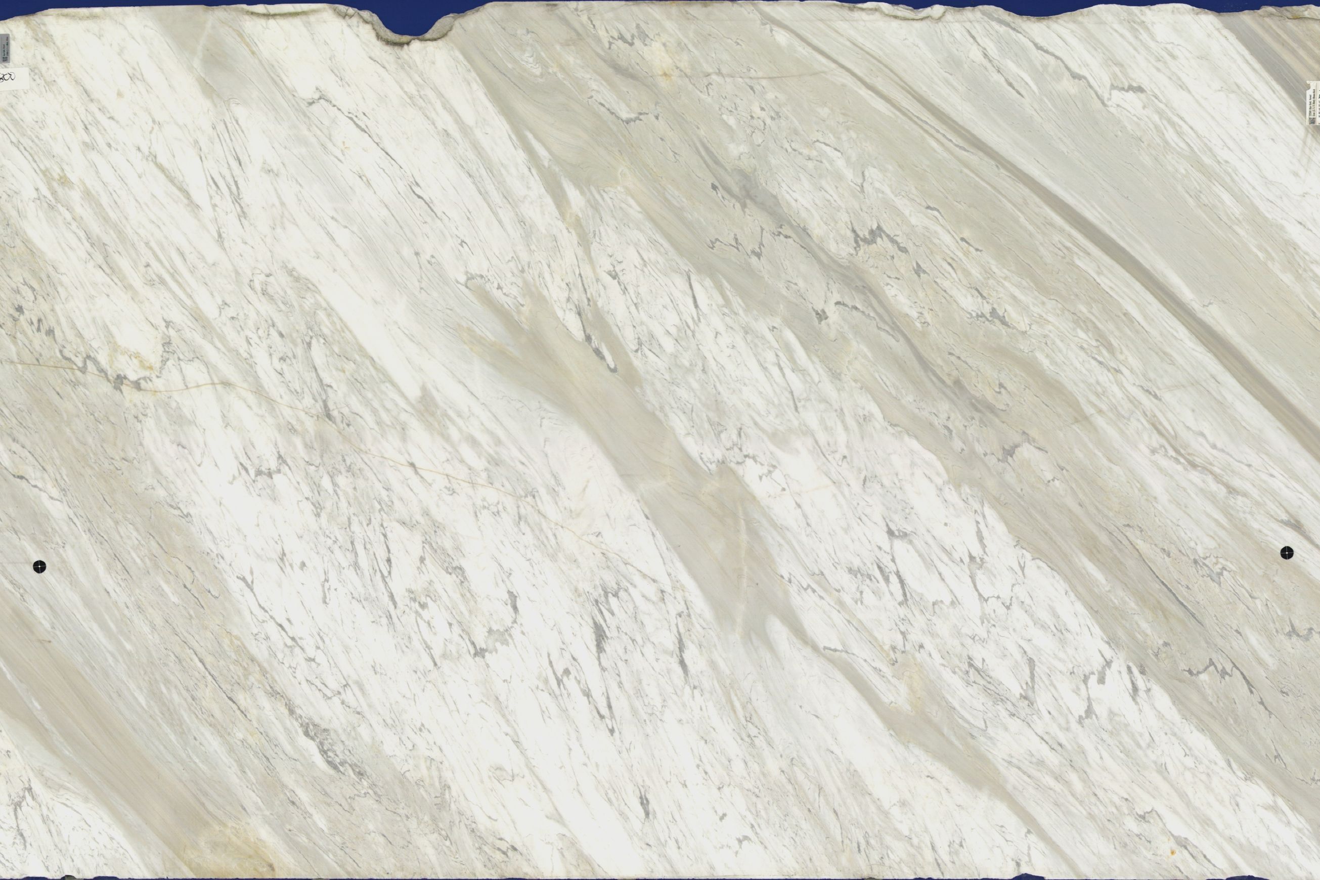 Ajax Gold | Marble