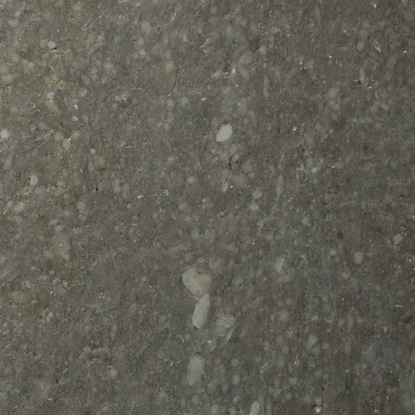 Beauvais Leathered Limestone Porcelia