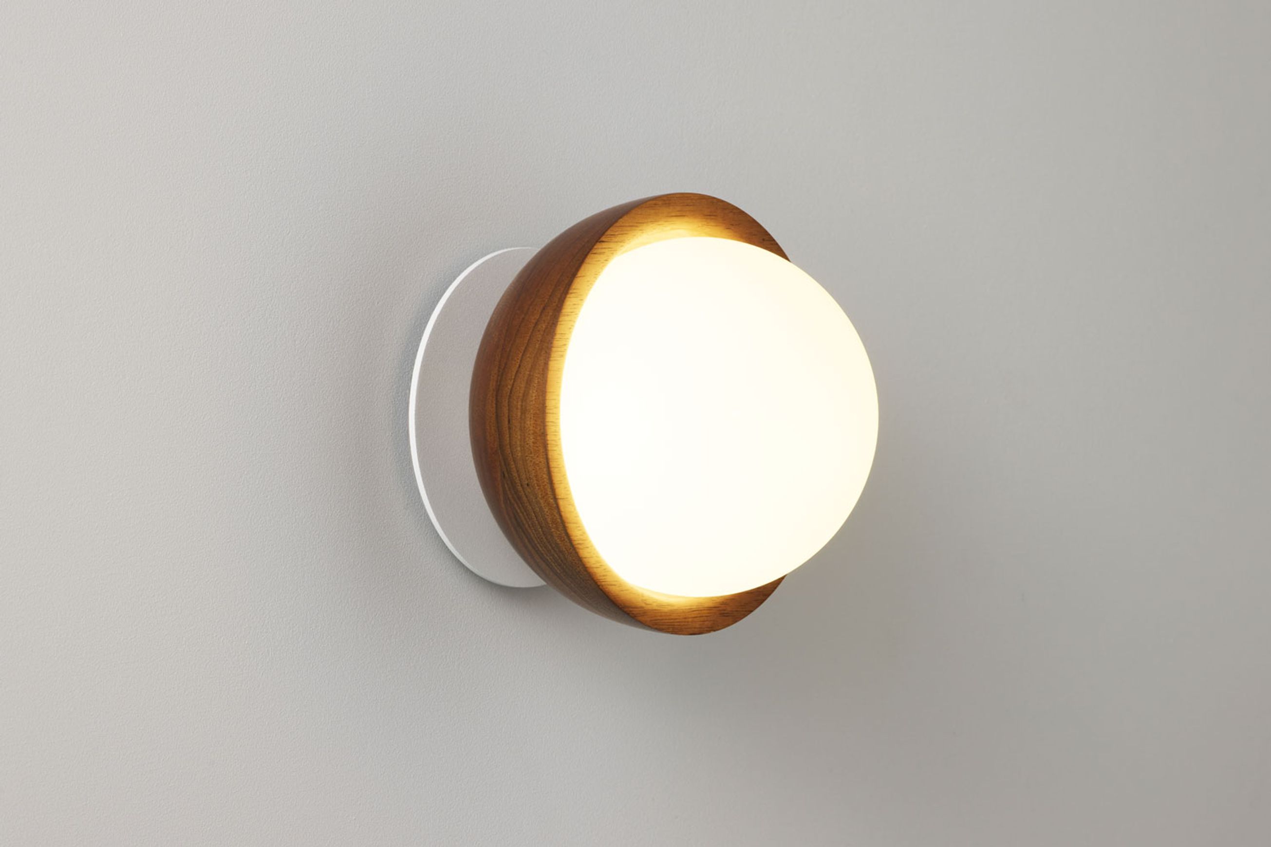 Button Sconce | Tasmanian Blackwood