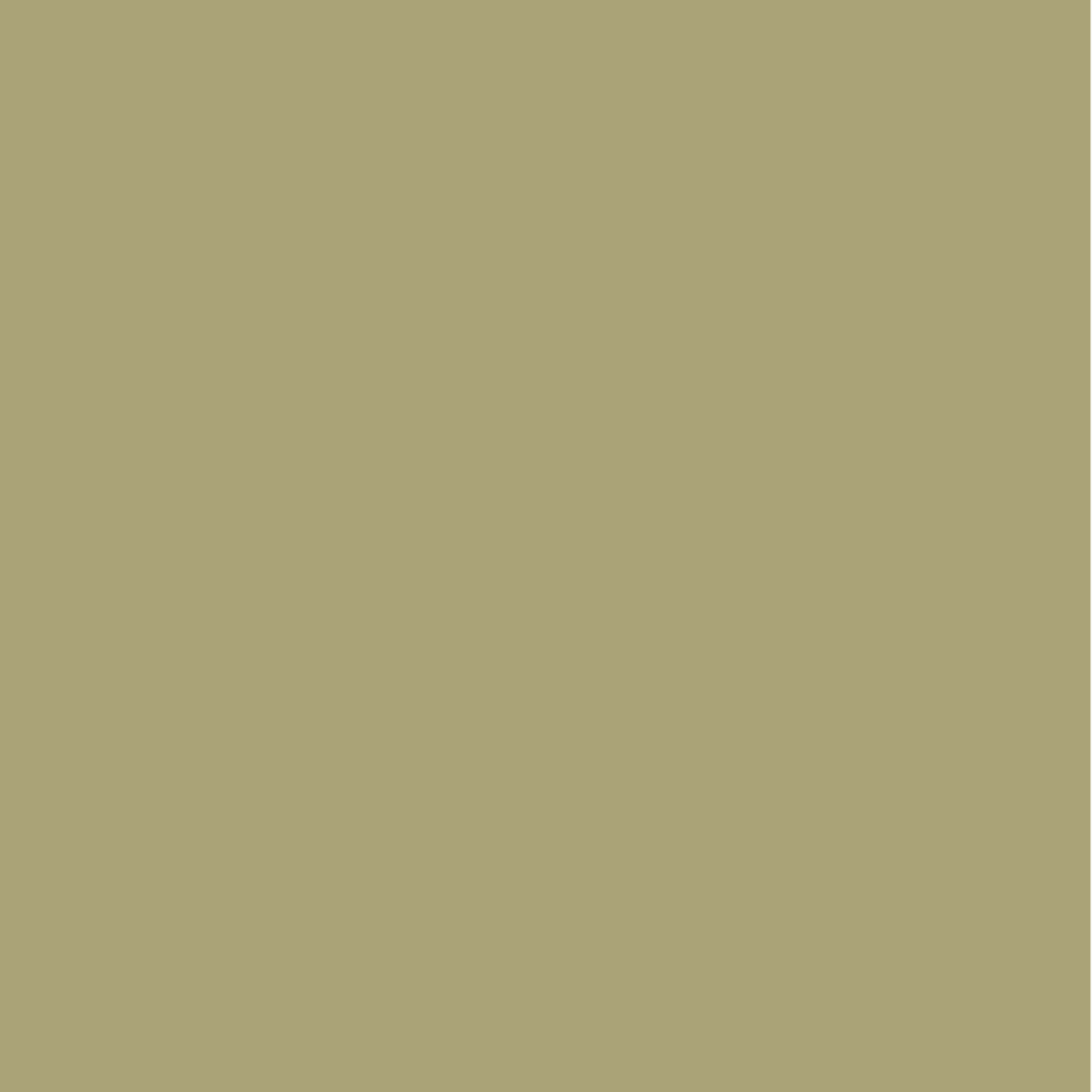 Chroma Minze Matt