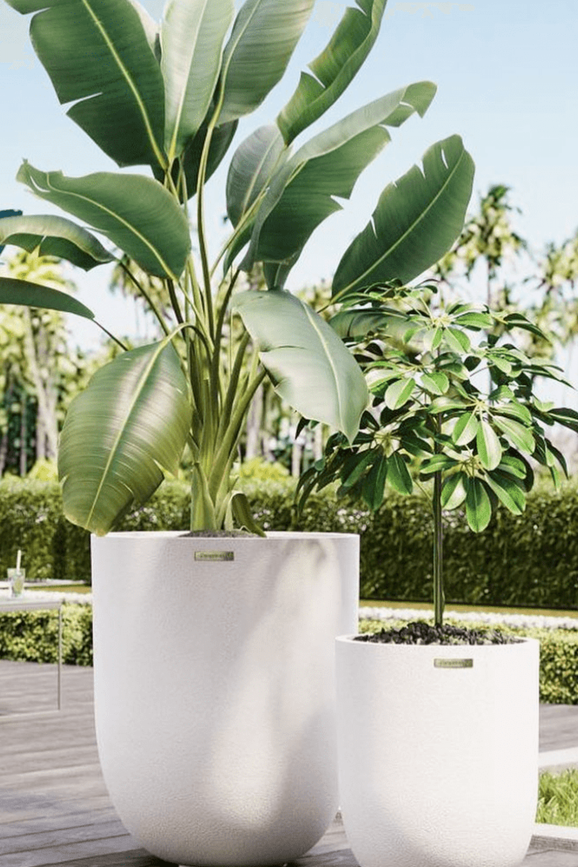 Franoma - Perth Planter