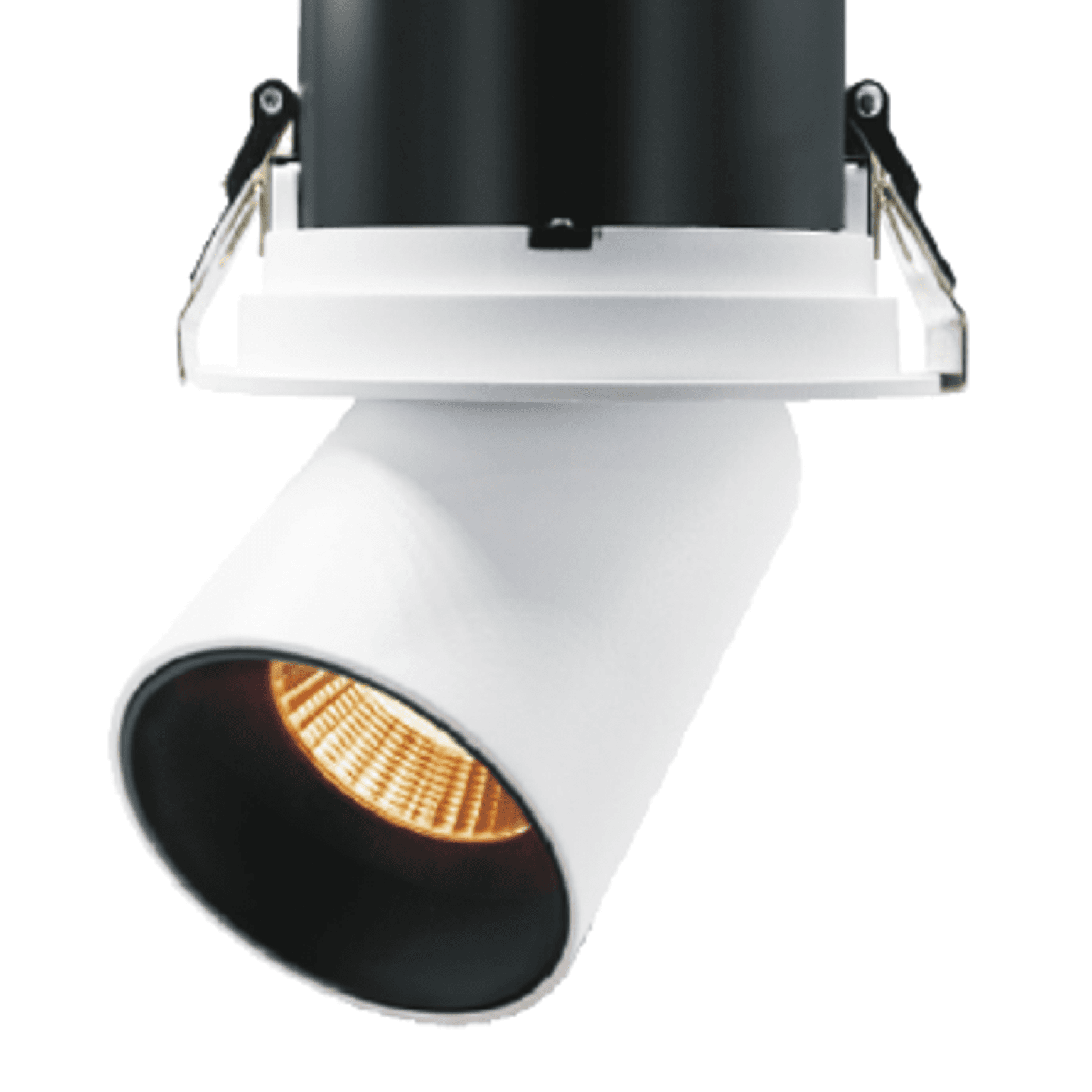 Round Snoot Downlight 25W
