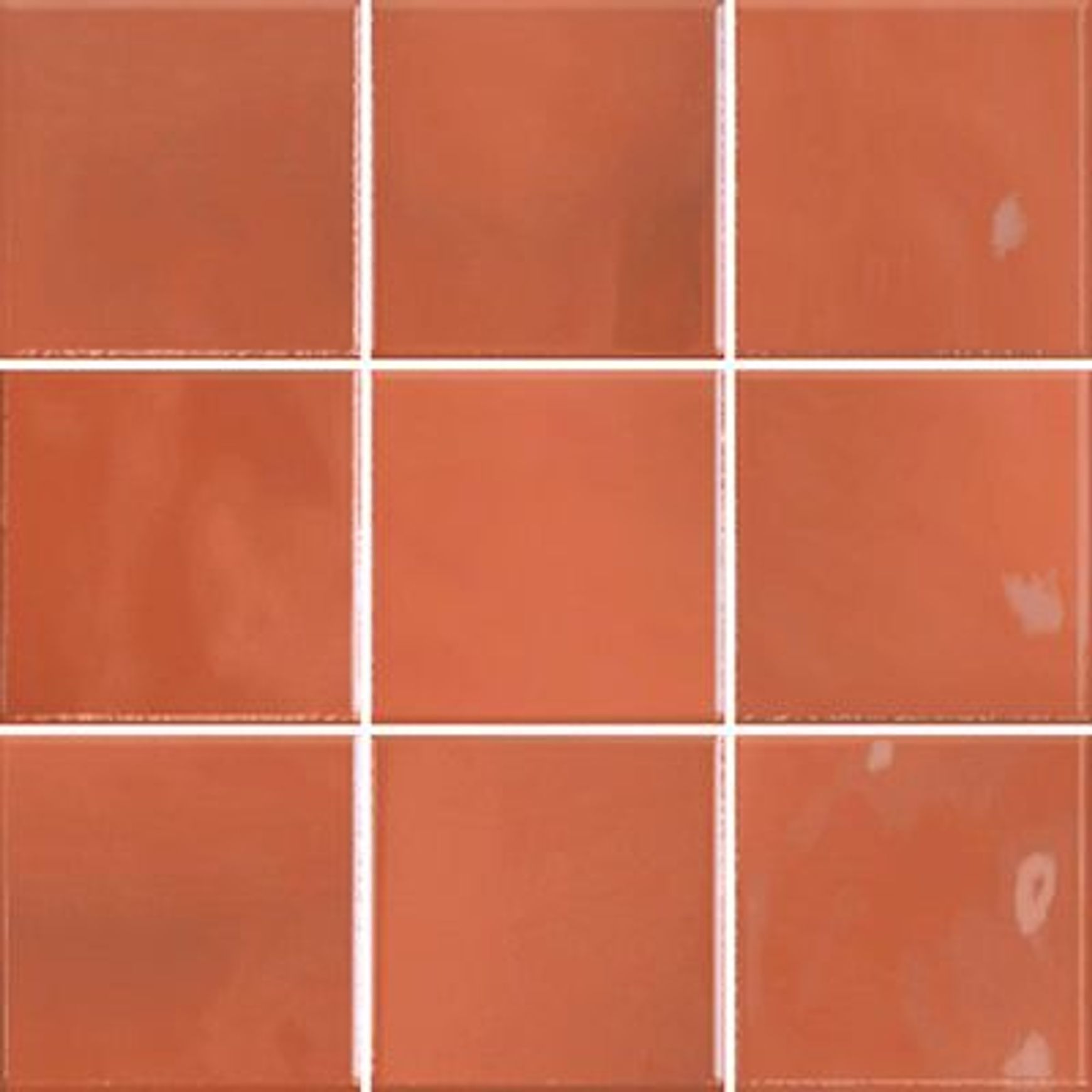 Rebel Terra Gloss 100x100mm