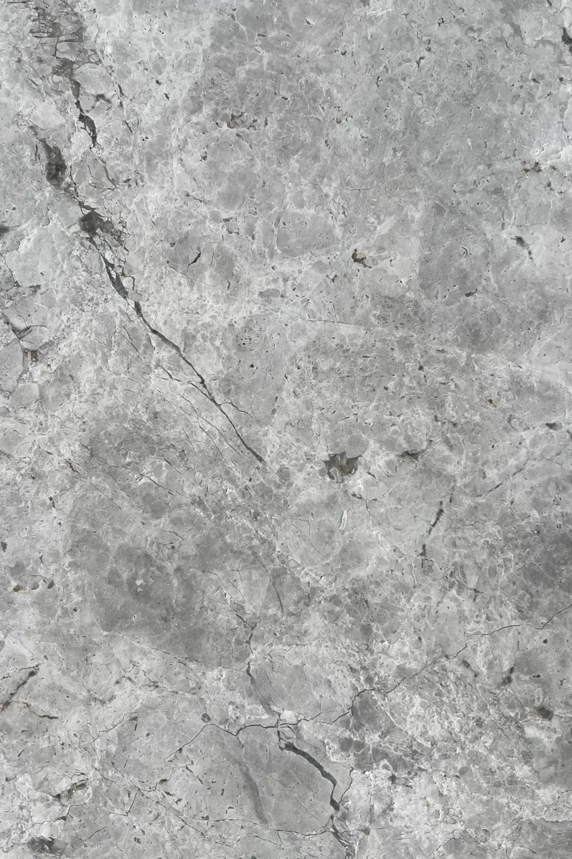 Tundra Grey Tumbled Limestone Tiles